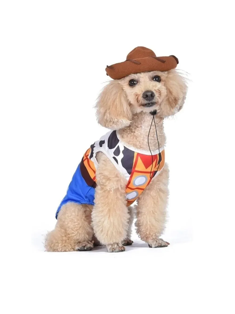 Pixar disney woody